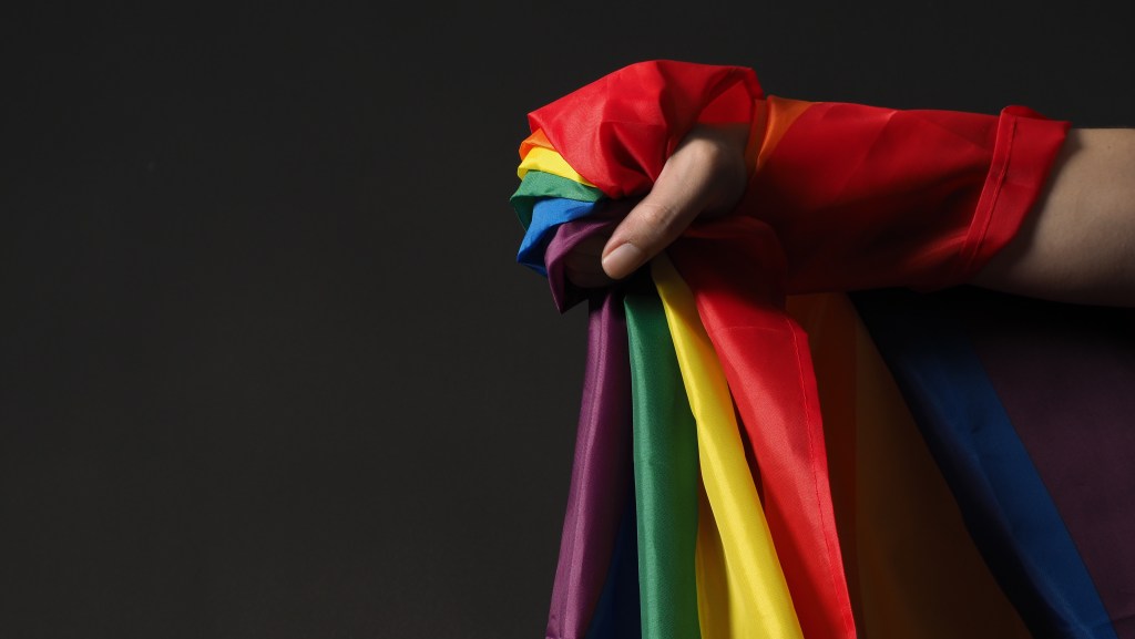 La antigua bandera LGBTI.