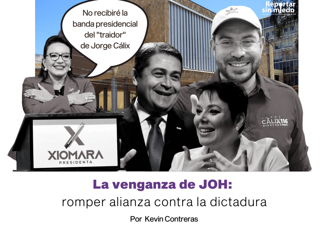 Diseño de Reportar Sin Miedo.