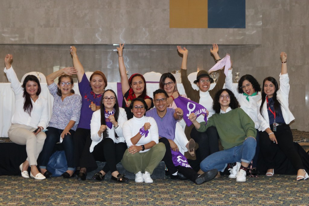 El Grupo Estratégico PAE está conformado por las organizaciones Acción Joven, CDM, Ecuménicas por el Derecho a Decidir, We Lead entre otra serie de organizaciones. 
PAE en Honduras